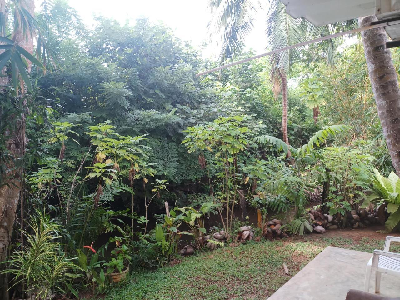 Lakvilla Хиккадува Экстерьер фото